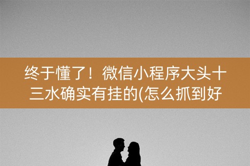 终于懂了！微信小程序大头十三水确实有挂的(怎么抓到好牌)