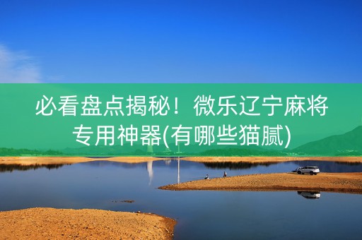 必看盘点揭秘！微乐辽宁麻将专用神器(有哪些猫腻)
