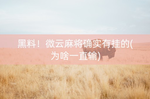 黑料！微云麻将确实有挂的(为啥一直输)