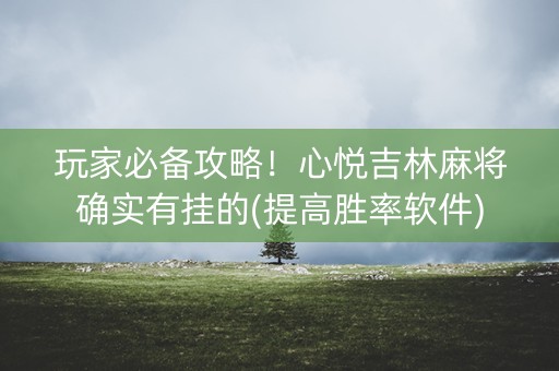 玩家必备攻略！心悦吉林麻将确实有挂的(提高胜率软件)