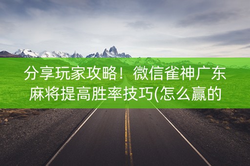 分享玩家攻略！微信雀神广东麻将提高胜率技巧(怎么赢的几率大)