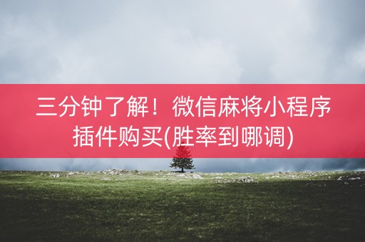 三分钟了解！微信麻将小程序插件购买(胜率到哪调)