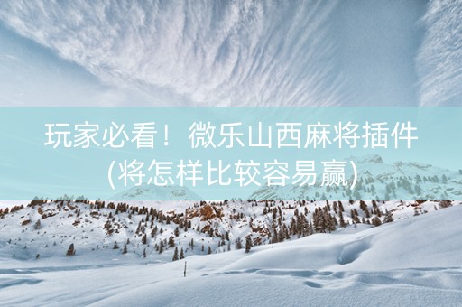 玩家必看！微乐山西麻将插件(将怎样比较容易赢)