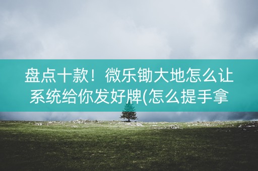 盘点十款！微乐锄大地怎么让系统给你发好牌(怎么提手拿好牌)