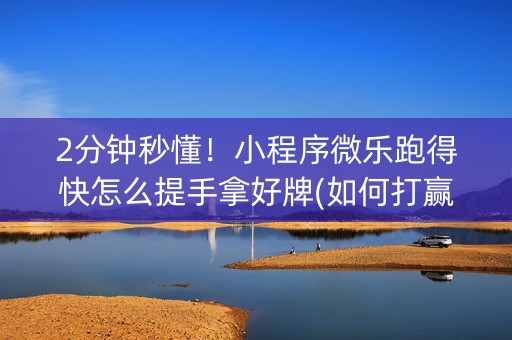 2分钟秒懂！小程序微乐跑得快怎么提手拿好牌(如何打赢有插件吗)