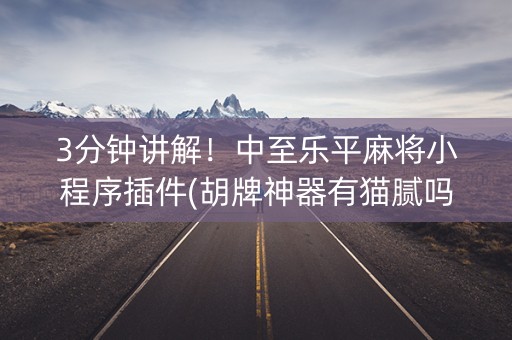 3分钟讲解！中至乐平麻将小程序插件(胡牌神器有猫腻吗)