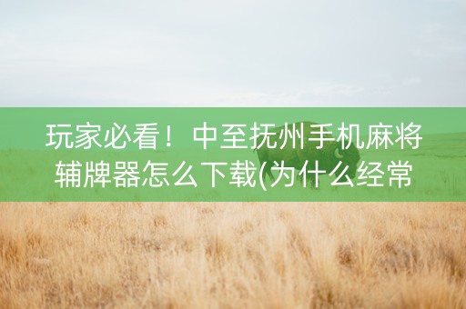 玩家必看！中至抚州手机麻将辅牌器怎么下载(为什么经常输)