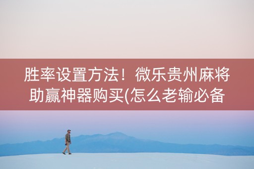 胜率设置方法！微乐贵州麻将助赢神器购买(怎么老输必备神器)
