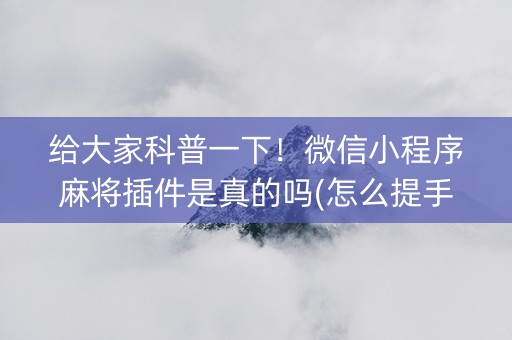 给大家科普一下！微信小程序麻将插件是真的吗(怎么提手拿好牌)