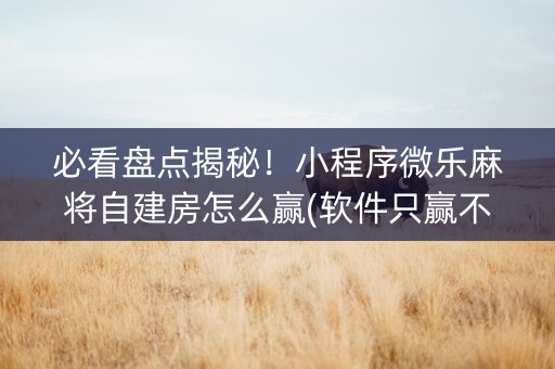 必看盘点揭秘！小程序微乐麻将自建房怎么赢(软件只赢不输)