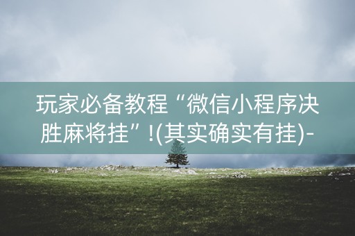 玩家必备教程“微信小程序决胜麻将挂”!(其实确实有挂)-知乎