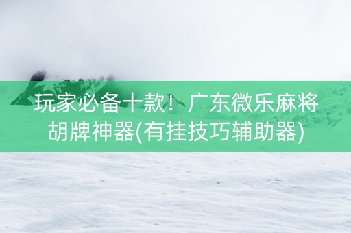 玩家必备十款！广东微乐麻将胡牌神器(有挂技巧辅助器)