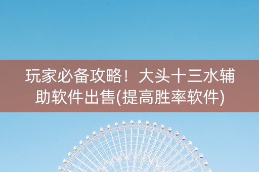 玩家必备攻略！大头十三水辅助软件出售(提高胜率软件)