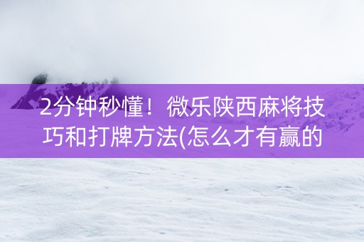 2分钟秒懂！微乐陕西麻将技巧和打牌方法(怎么才有赢的几率)