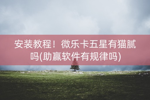 安装教程！微乐卡五星有猫腻吗(助赢软件有规律吗)