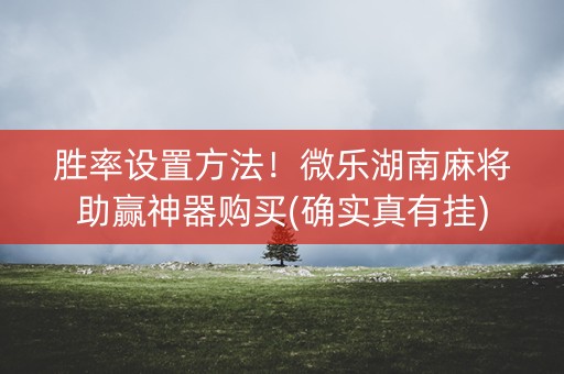 胜率设置方法！微乐湖南麻将助赢神器购买(确实真有挂)