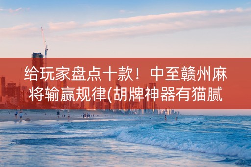 给玩家盘点十款！中至赣州麻将输赢规律(胡牌神器有猫腻吗)