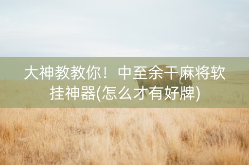 大神教教你！中至余干麻将软挂神器(怎么才有好牌)