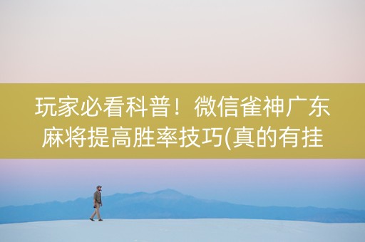 玩家必看科普！微信雀神广东麻将提高胜率技巧(真的有挂)
