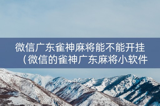 微信广东雀神麻将能不能开挂（微信的雀神广东麻将小软件有什么挂）