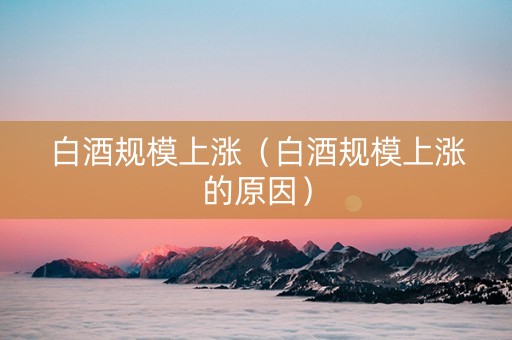 白酒规模上涨（白酒规模上涨的原因）