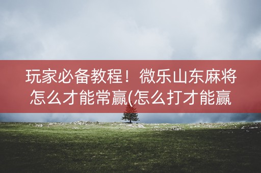 玩家必备教程！微乐山东麻将怎么才能常赢(怎么打才能赢)