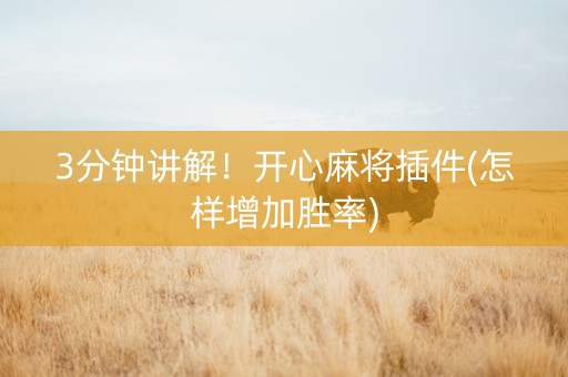 3分钟讲解！开心麻将插件(怎样增加胜率)