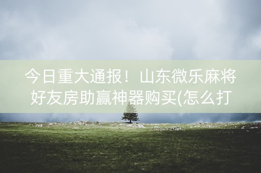 今日重大通报！山东微乐麻将好友房助赢神器购买(怎么打才会赢)