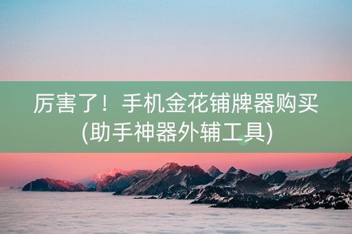 厉害了！手机金花铺牌器购买(助手神器外辅工具)