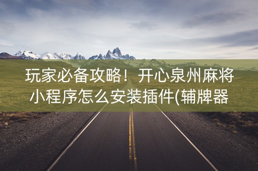 玩家必备攻略！开心泉州麻将小程序怎么安装插件(辅牌器购买)