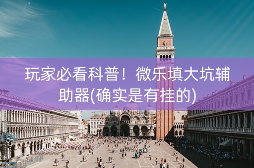 玩家必看科普！微乐填大坑辅助器(确实是有挂的)