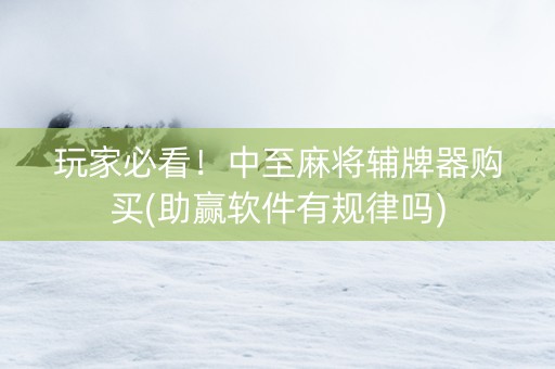 玩家必看！中至麻将辅牌器购买(助赢软件有规律吗)