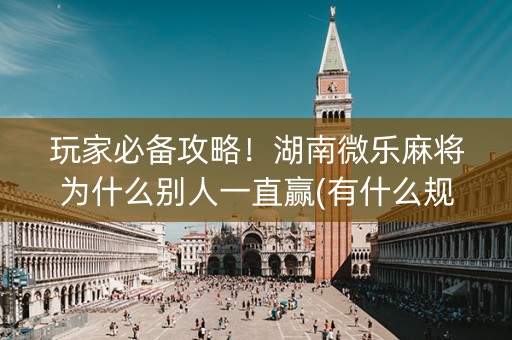 玩家必备攻略！湖南微乐麻将为什么别人一直赢(有什么规律)