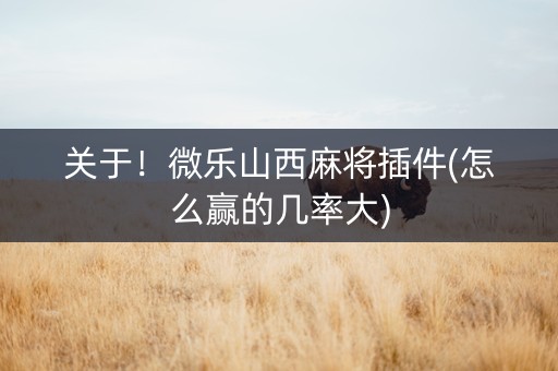 关于！微乐山西麻将插件(怎么赢的几率大)