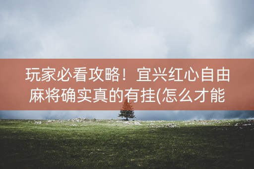 玩家必看攻略！宜兴红心自由麻将确实真的有挂(怎么才能起到好牌)