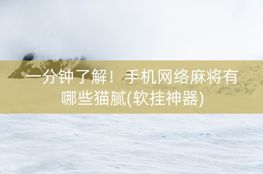 一分钟了解！手机网络麻将有哪些猫腻(软挂神器)