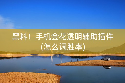 黑料！手机金花透明辅助插件(怎么调胜率)
