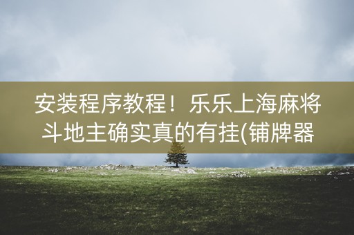 安装程序教程！乐乐上海麻将斗地主确实真的有挂(铺牌器购买)