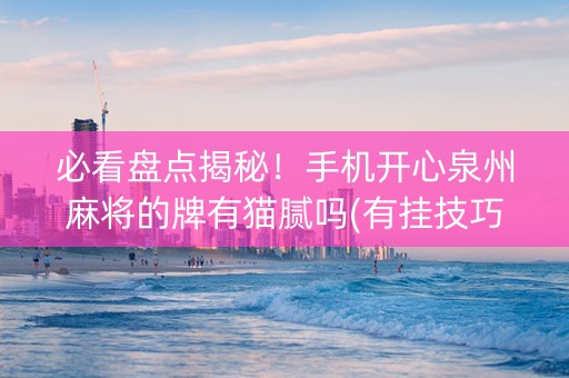 必看盘点揭秘！手机开心泉州麻将的牌有猫腻吗(有挂技巧辅助器)