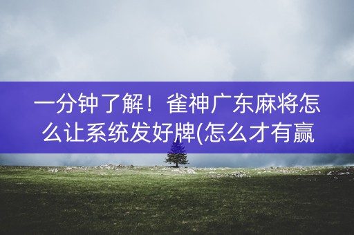 一分钟了解！雀神广东麻将怎么让系统发好牌(怎么才有赢的几率)
