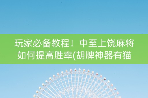 玩家必备教程！中至上饶麻将如何提高胜率(胡牌神器有猫腻吗)