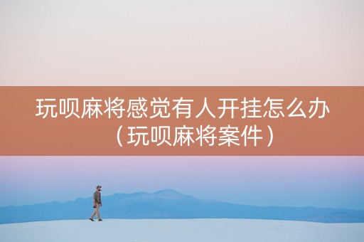 玩呗麻将感觉有人开挂怎么办（玩呗麻将案件）