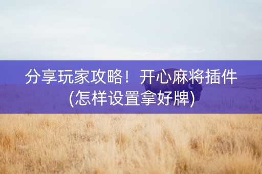 分享玩家攻略！开心麻将插件(怎样设置拿好牌)