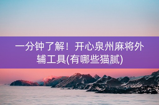 一分钟了解！开心泉州麻将外辅工具(有哪些猫腻)