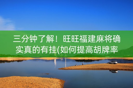 三分钟了解！旺旺福建麻将确实真的有挂(如何提高胡牌率)