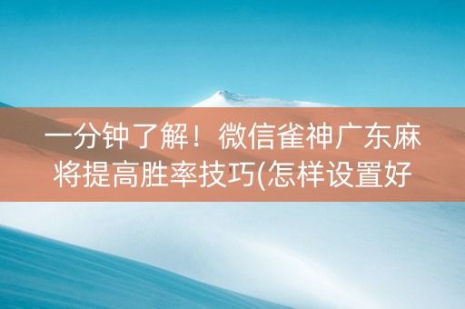 一分钟了解！微信雀神广东麻将提高胜率技巧(怎样设置好牌)
