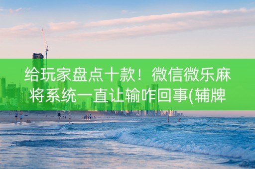 给玩家盘点十款！微信微乐麻将系统一直让输咋回事(辅牌器购买)