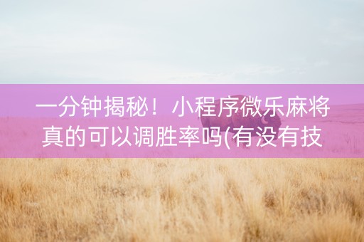 一分钟揭秘！小程序微乐麻将真的可以调胜率吗(有没有技巧)