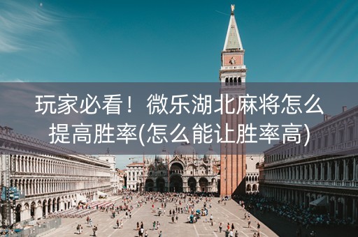 玩家必看！微乐湖北麻将怎么提高胜率(怎么能让胜率高)