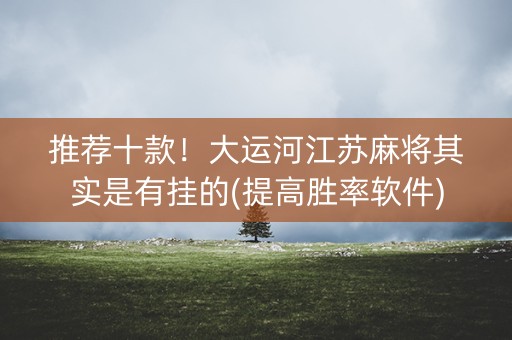 推荐十款！大运河江苏麻将其实是有挂的(提高胜率软件)